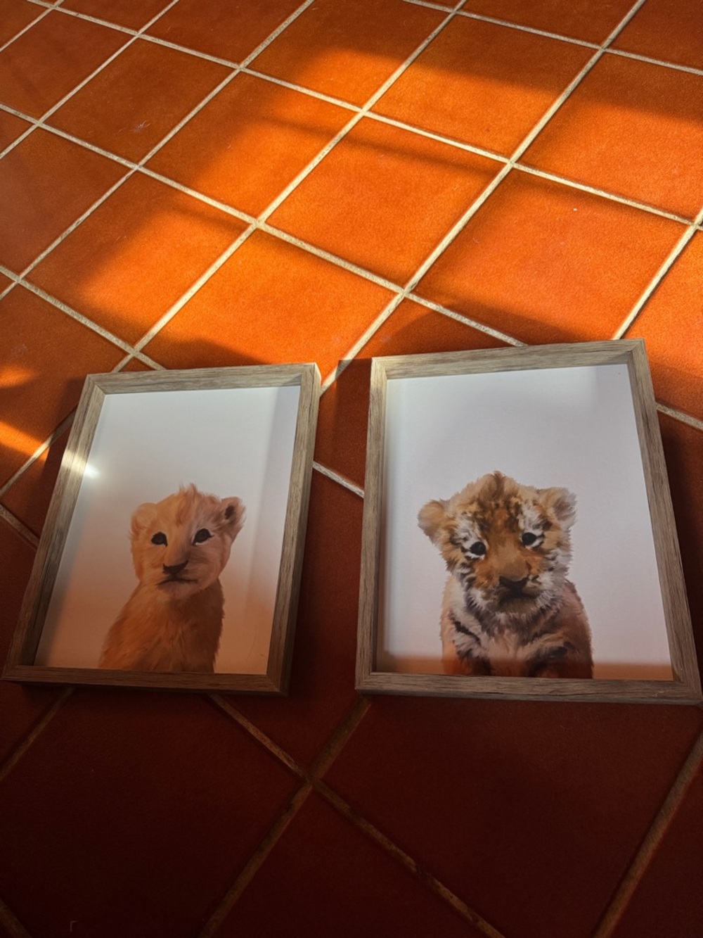 Wood Frame Lion Cub & Tiger Cub